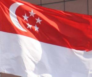 пазл Флаг Сингапура